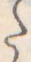 Đã định vị 𛁠