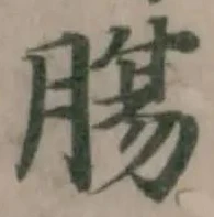 腸の位置