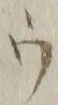 文字ウ