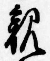 親 위치 확인됨