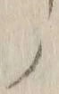 글자 伝