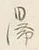 글자 逗