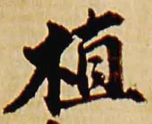 植 위치 확인됨