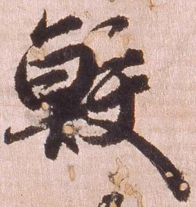 鮫 위치 확인됨