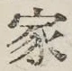 글자 家