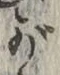 글자 が