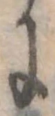 位置 確認된 𛂌