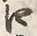 Chữ 口
