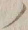 字ノ