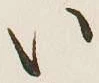 字い