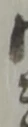 慈 위치 확인됨