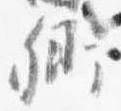 卿 위치 확인됨
