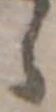 位置 確認된 ゝ
