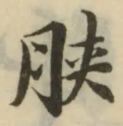 脥の位置