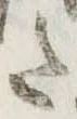 𛁠 위치 확인됨