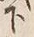 Chữ 下