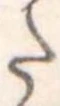 Đã định vị 𛁠