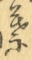 已定位茸