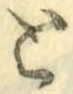 “と”字