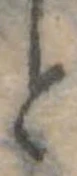 位置 確認된 と