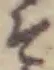 글자 そ