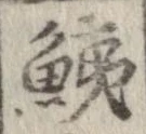 鮧 위치 확인됨