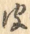 已定位皮