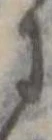 𛂌 위치 확인됨