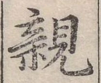 親 위치 확인됨