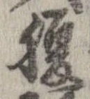 已定位腹