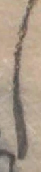 𛁅 위치 확인됨