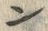 字ン