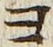 𡨸ヨ