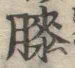 Chữ 膝