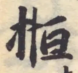 揯 위치 확인됨