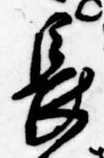 長の位置