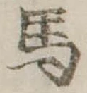馬 위치 확인됨