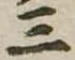 位置定マレル三