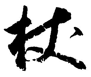 Located 杖