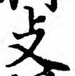 支の位置