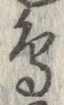 已定位鳥