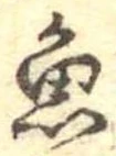 魚 위치 확인됨