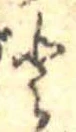 已定位𛁻