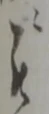 ニ 위치 확인됨