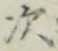 글자 次