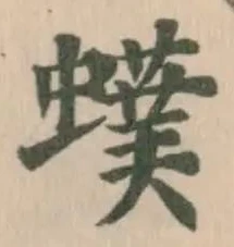 䗱 위치 확인됨