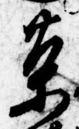 茶 위치 확인됨