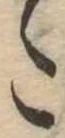 𛁠 위치 확인됨