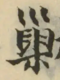 勦の位置