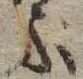 ぶ 위치 확인됨